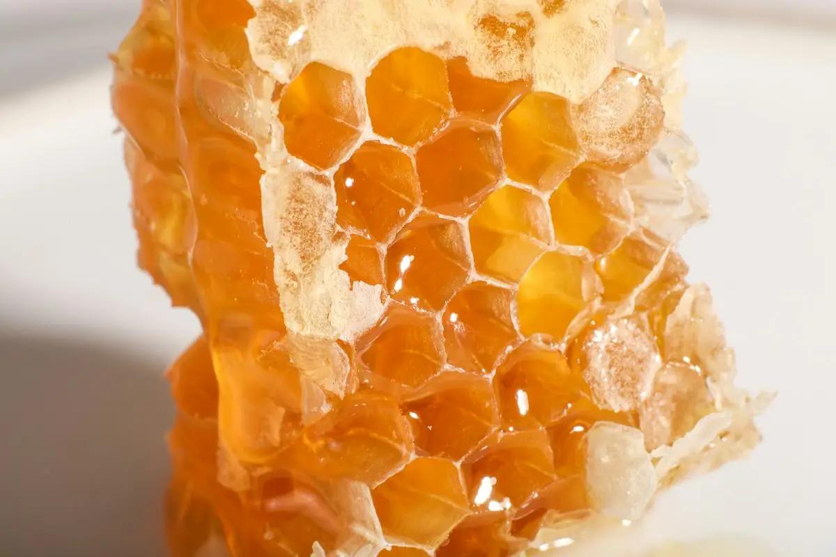 Honeycomb filled with fresh golden honey